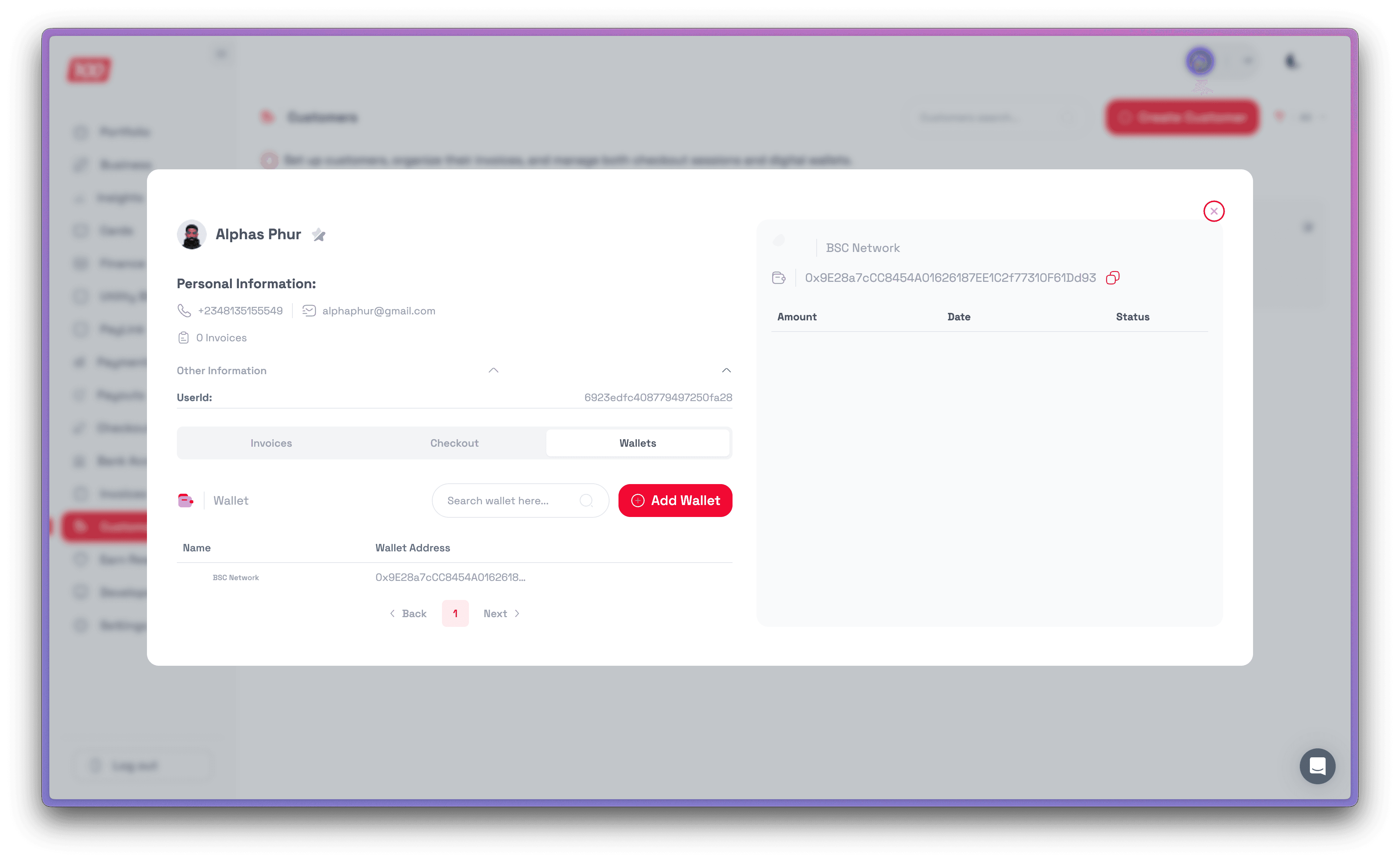 100Pay Dashboard — Customer details with Wallets tab